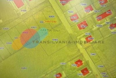 Teren 780mp Chinteni - 1