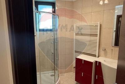 Apartament cu 4 camere semidecomandat, mobilat în Nordului - 23