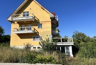 Casa cu potential imens in Sat Lilieci, pe Aleea Florilor - langa raul - 40