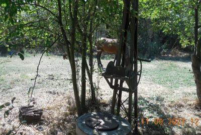 Casa taraneasca si teren comuna Murgasi sat Balota de Jos DJ - 5