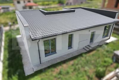 Casa deosebita plan parter cu 4 camere in Visani - 2