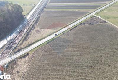 Teren de 19319 mp, în Laslea - 14