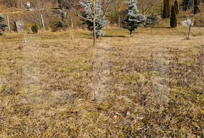 Casă cu 3 camere cu Teren 2000 Mp în Arcuș - 9