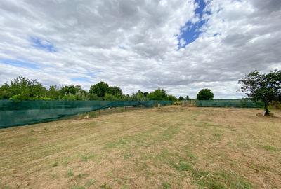 Teren Construcții intravilan de 1412 mp, în Ciofliceni - 2