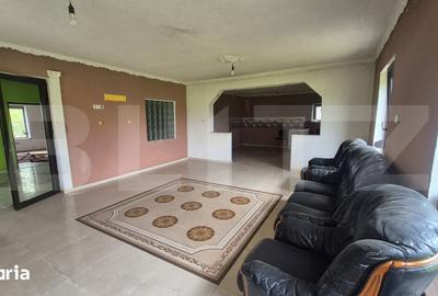Casă cu 3 camere cu Teren 2918 Mp în Doba - 11