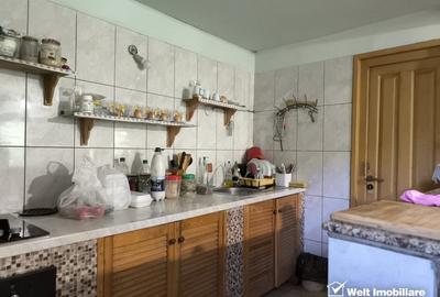 Casa de vacanta, cu lac, 5640 mp teren, Huta, com. Chiuiesti, jud. Cluj Casa de vacanta, cu lac, 5640 mp teren, Huta, com. Chiuiesti, jud. Cluj - 5