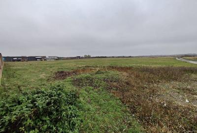 Teren de 4588 mp, în Remetea Mare