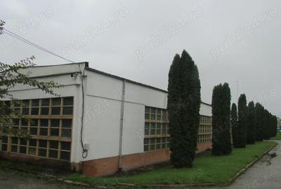 Spa?ii de produc?ie birouri situate in zona industriala Deva - MACON - 3