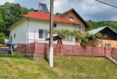 Teren de 7000 mp, în Ștubeie Tisa - 17