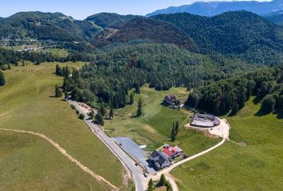 Teren 56599mp Dambovicioara / Soseaua DN 73Dealul sasului! - 5