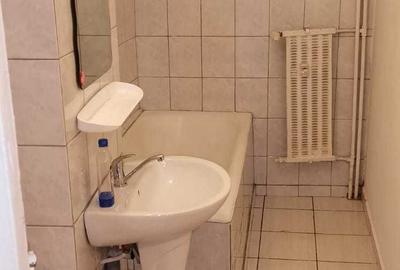 Sebastian/Motoc - Garsoniera PET FRIENDLY - 7