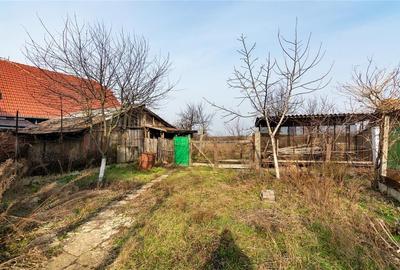 RECO Casa cu teren 3036mp, Bors - 22