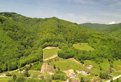 Teren extravilan Via Transilvanica - 3