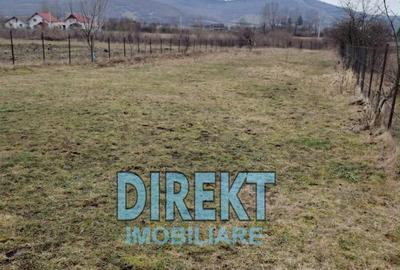 Casă cu 4 camere cu Teren 1500 Mp în Livezile - 4