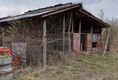 Spațiu comercial, în Hodiș - 12