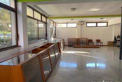 Spatiu comercial - 3