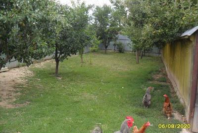 Casa cu teren in Razboienii de Jos, Neamt - 10