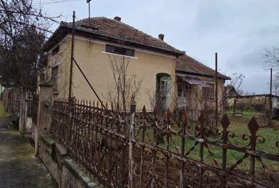 Casă cu 3 camere cu Teren 2500 Mp în Vetiș - 6