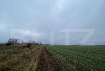 Teren intravilan industrial, 41.000 mp, front 117 m, I?alni - 2