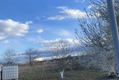 Teren de 600 mp, în Narcisa