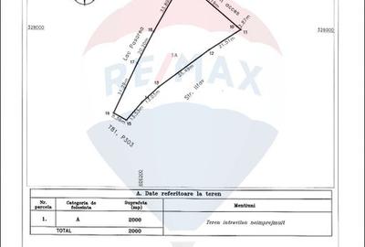 Teren Construcții intravilan de 2000 mp, în Brănești - 10