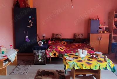 Vanzare casa Morut, judetul Bistrita-Nasaud - 7