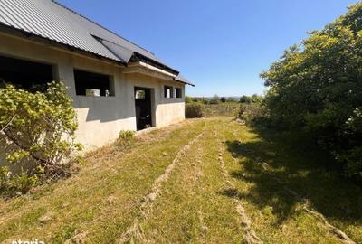 Casă cu 4 camere în Aurești - 6
