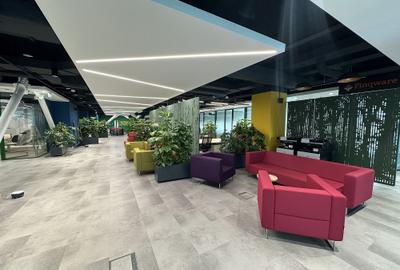 Birouri private in coworking Supertree, amenajat 2025 – metrou Dimitrie Pompeiu - 11