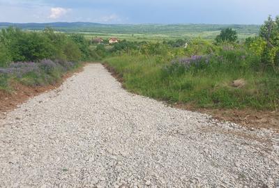 Spațiu comercial, în Plopu - 4