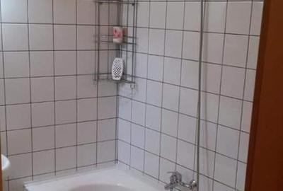 Garsoniera de inchiriat zona Giurgiului Garsoniera de inchiriat zona Giurgiului - 2