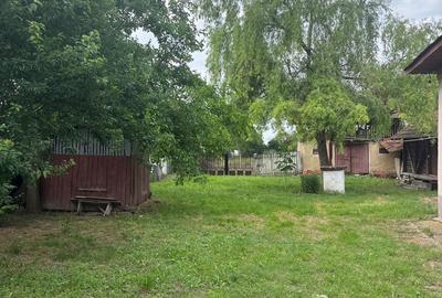 Casă cu 3 camere cu Teren 2775 Mp în Cornățelu - 5