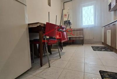 Apartament cu 2 camere semidecomandat în Ultracentral - 6