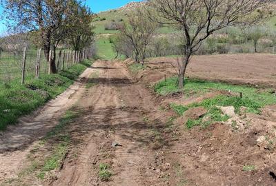 Teren de 1100 mp, în Greci - 3