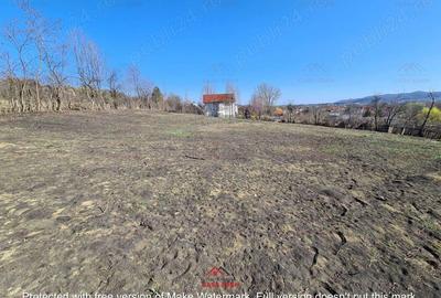 Teren intravilan in Cornu de Jos--4391 mp--43e - 2