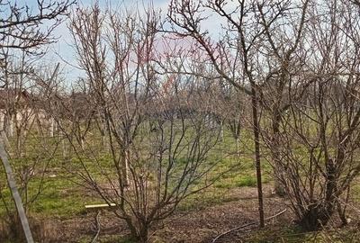 Teren Construcții intravilan de 2954 mp, în Vladimirescu - 9