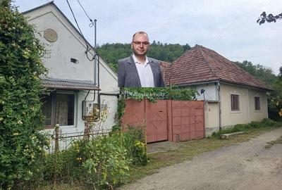 Casă cu Teren 1439 Mp în Brădișoru de Jos - 5