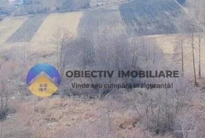 Teren Construcții intravilan de 10515 mp, în Bodești - 10