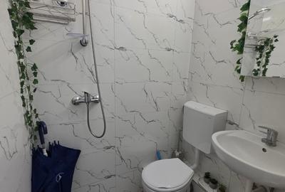 Decebal, Rond Alba Iulia, pe Moise Nicoara, renovata, mobilata si utilata lux - 10