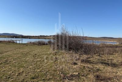 Teren agricol extravilan de 38000.0390625 mp, în Nord - 10