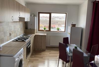 Apartament cu 2 camere decomandat în Câmpului - 5