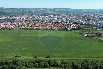 Teren 60,000mp Fagaras / Soseaua Combinatului - 8