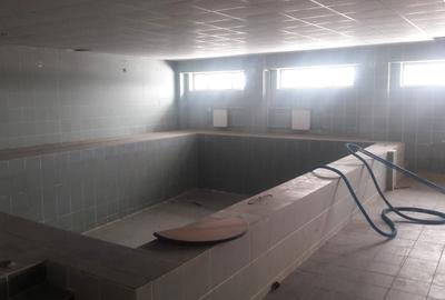 Casă cu 4 camere în Băcia - 5