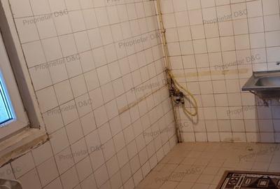 Apartament cu 3 camere decomandat în Banu Manta - 9