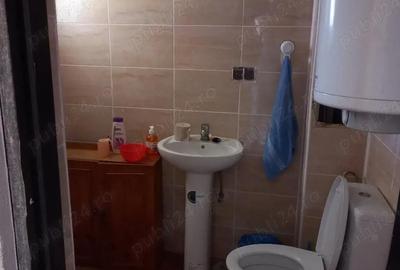 Casă cu Teren 6996 Mp în Cerișor - 9