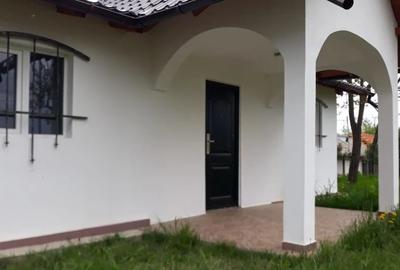 Casa cocheta langa Valenii de munte - 2