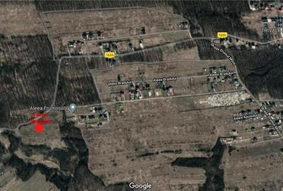Teren de 6446 mp, în Smeura - 2