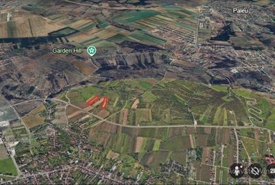 Spațiu comercial, în Oncea - 4