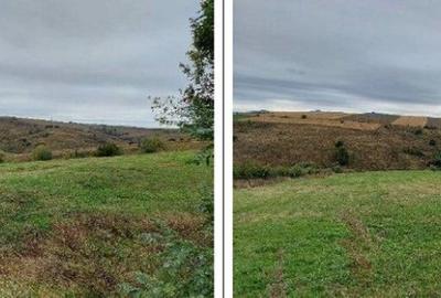 Teren de 3580 mp, în Ardeoani - 9