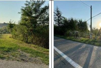 Teren partial intravilan Romani, judetul Neamt, ID: R2326723 - 8