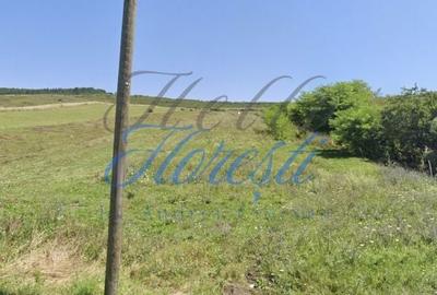 Teren de 5000 mp, în Aluniș - 3